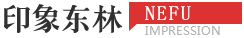 印象东师