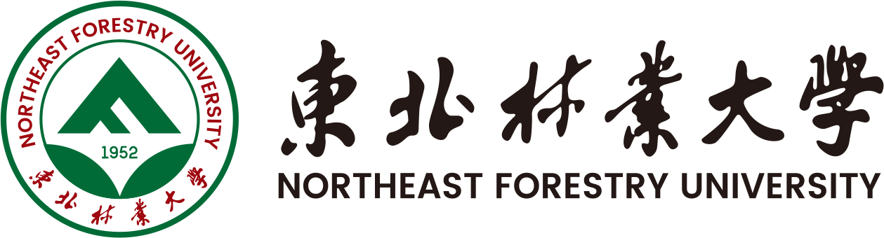 星空游戏免费版下载